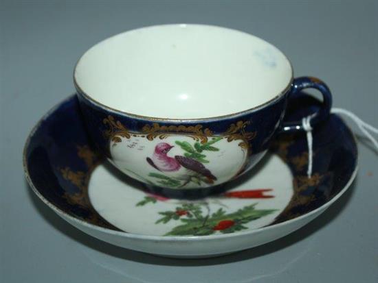 Worcester teacup and saucer decorated with exotic birds